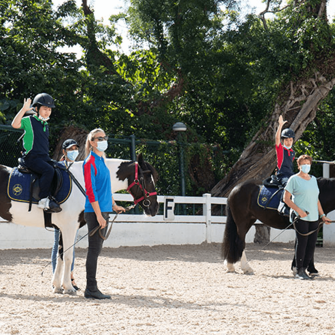 rda hk horses