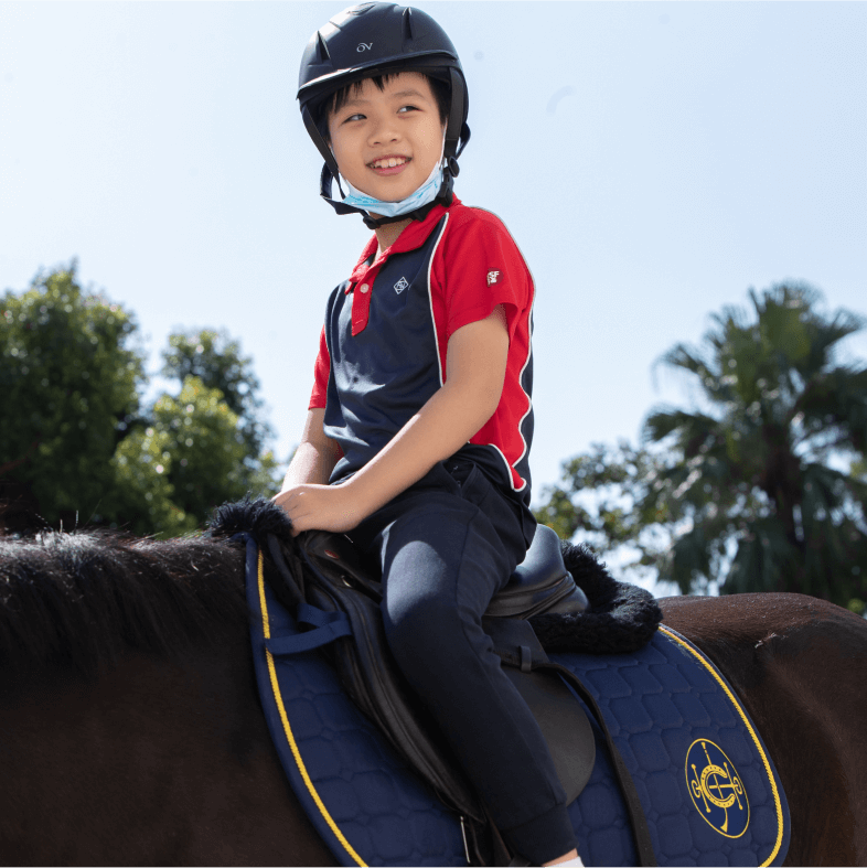 therapy in saddle cross link