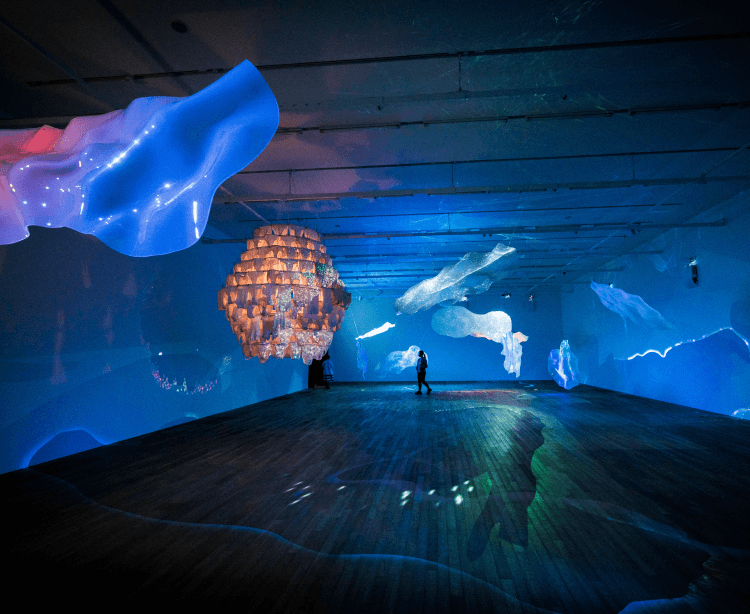 arts culture tai kwun exhibition