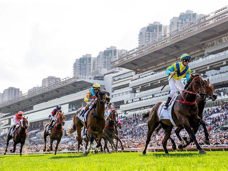 Racecourse Experience - The Hong Kong Jockey Club