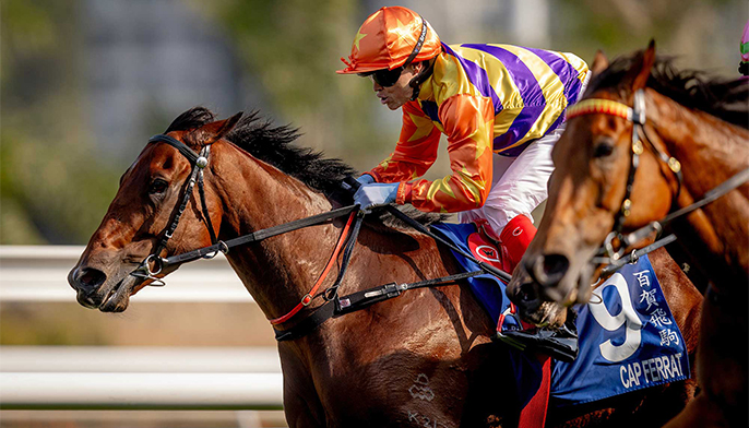 PurtonbankingonCapFerratsuntappedpotentialinSaSaLadiesPurse