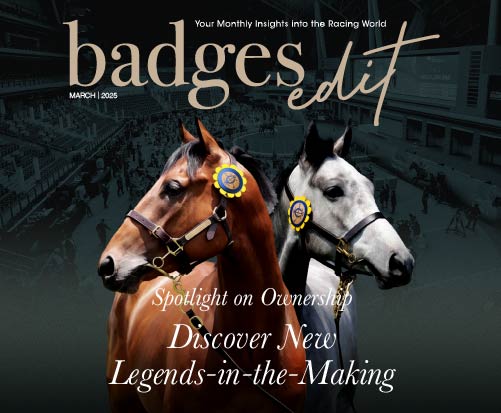 badges_202503_501-413-en