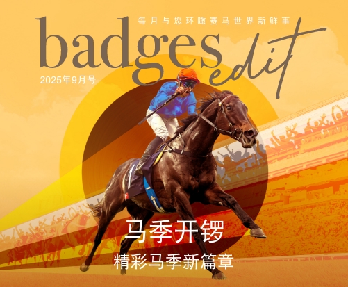 badges_202509_501-413-cn