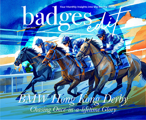 badges_202602_501-413-en