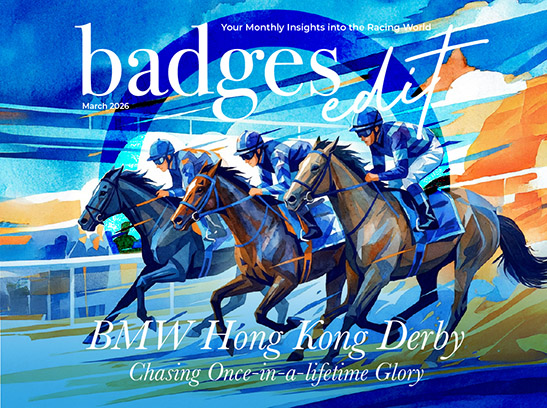 badges_202602_547-408-en