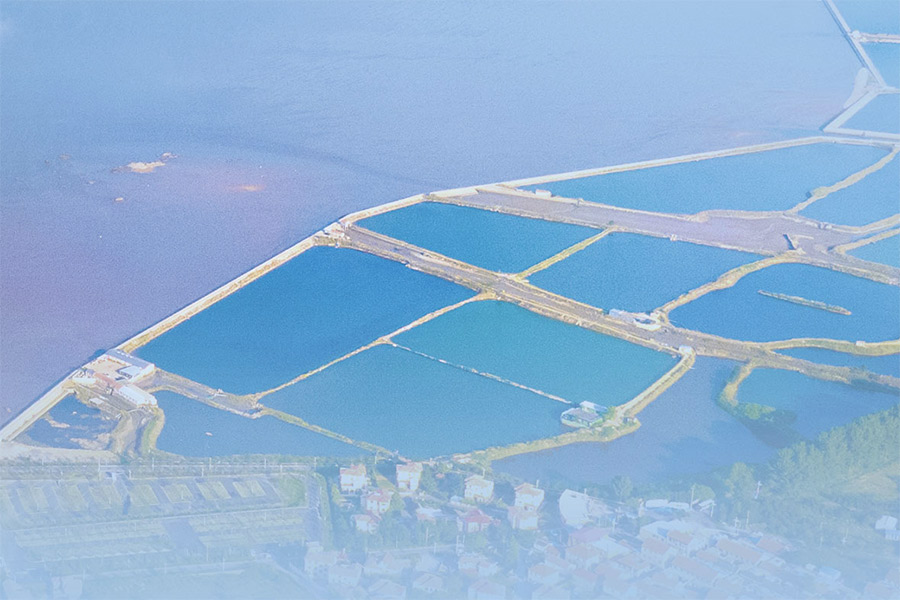 offer-202510-A-Gourmet-Journey-of-Shandong