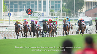 Rules of Racing FAQ - The Hong Kong Jockey Club