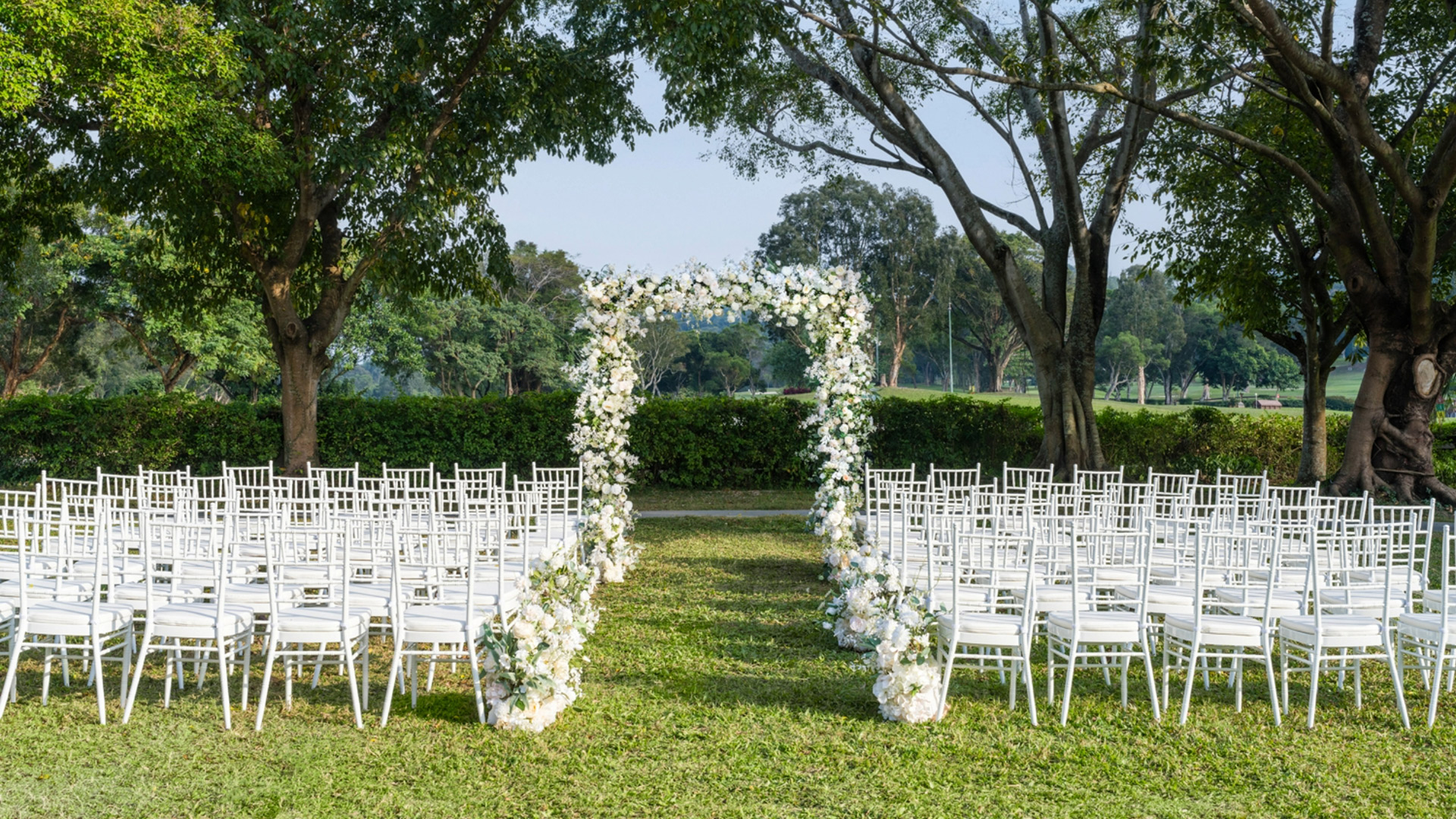 The Lawn