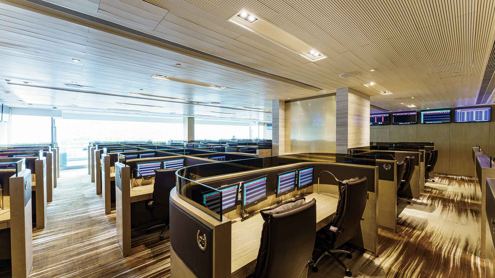 賞駿台及新天地（跑道旁）