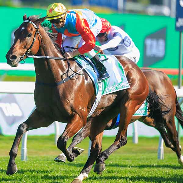 香港名駒揚威海外