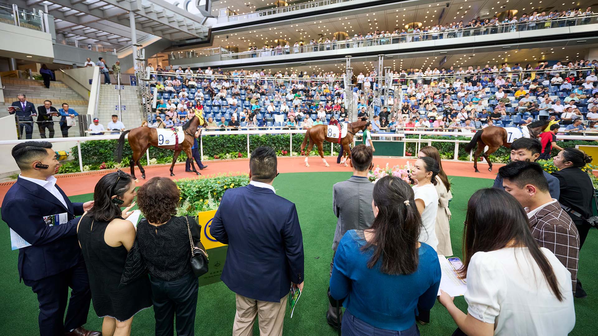Members' Hub - The Hong Kong Jockey Club
