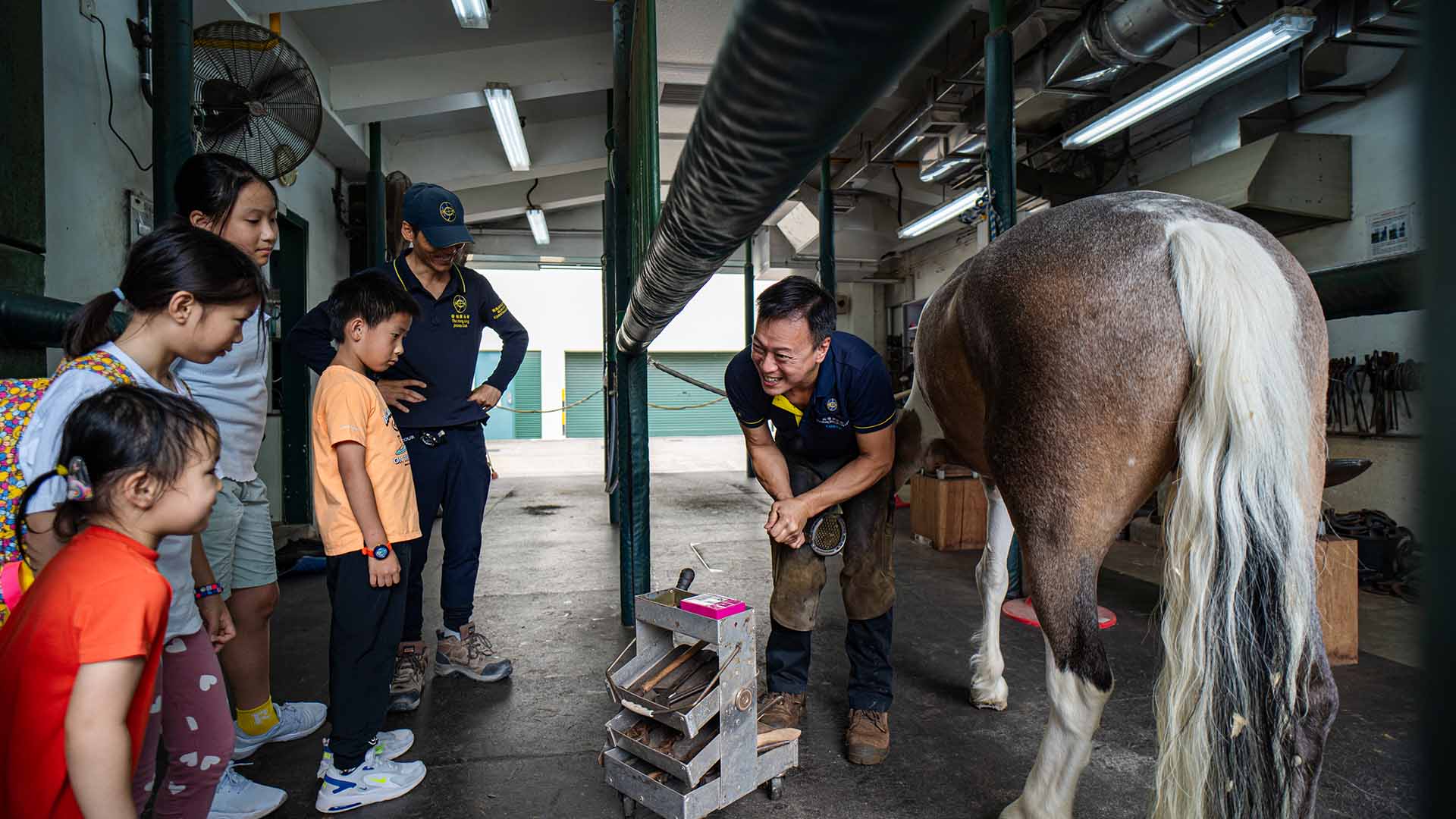 金牌小馬僮: 與釘甲匠會面