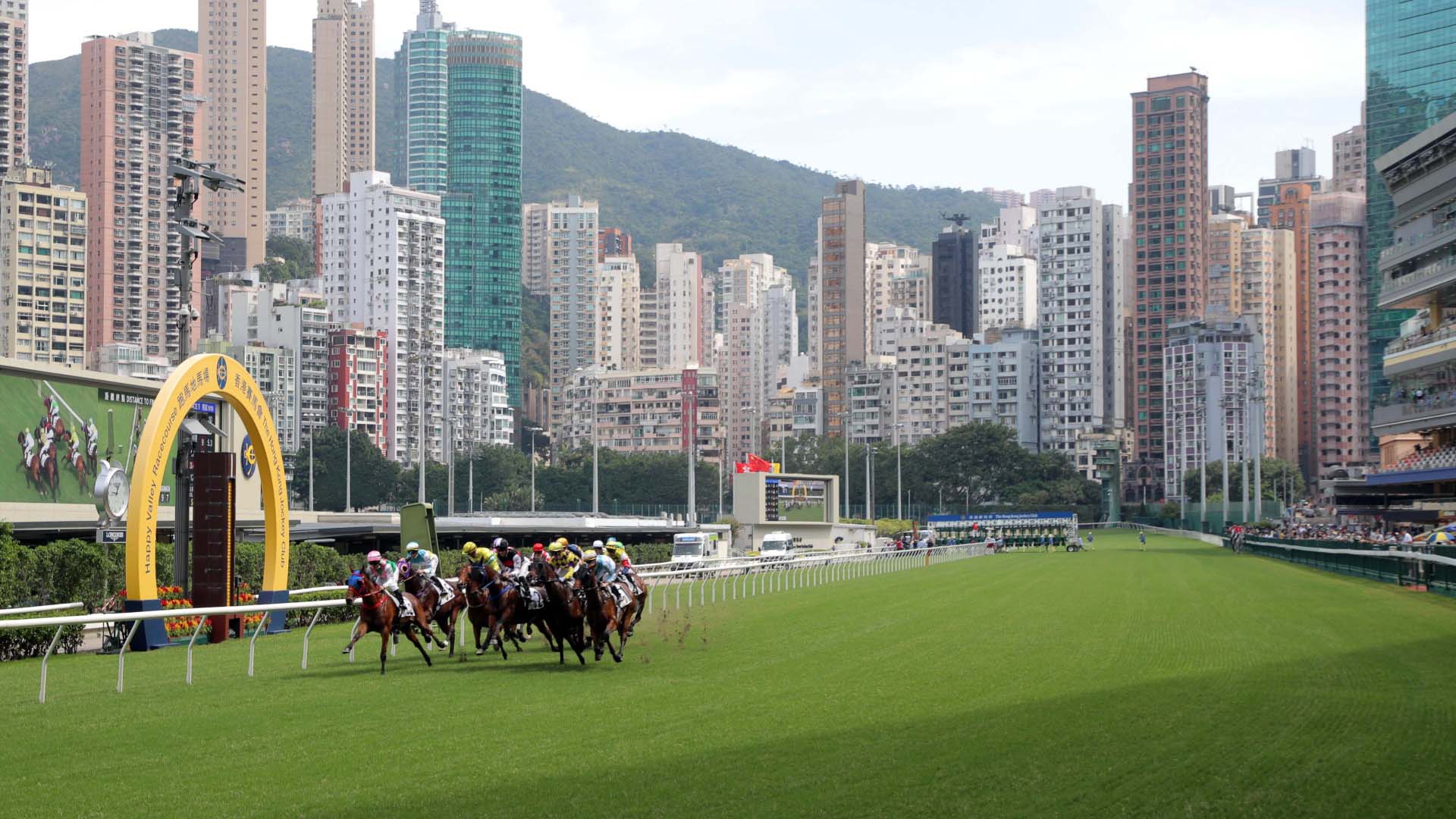 尊尚私人包廂 傲視賽事