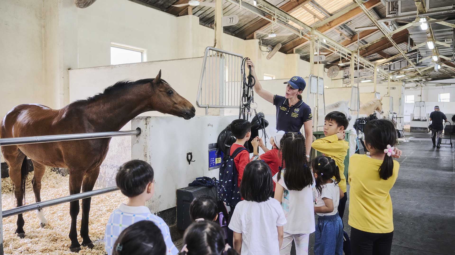 馬房探秘通行證: 探訪小馬之家