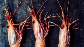 SHELLFISH