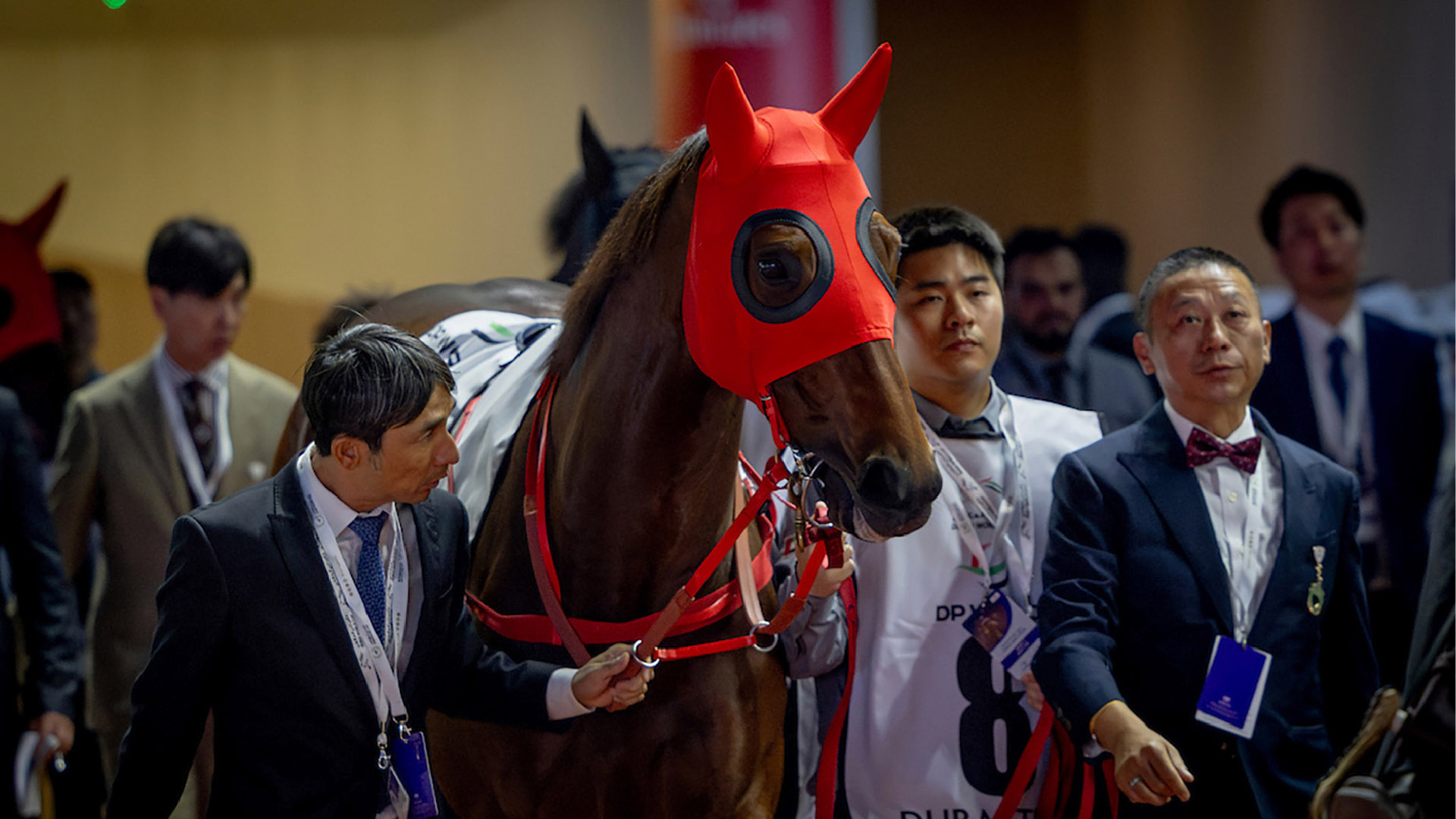 IMG_MAY25_Racing_DubaiWorldCup_Cap_1